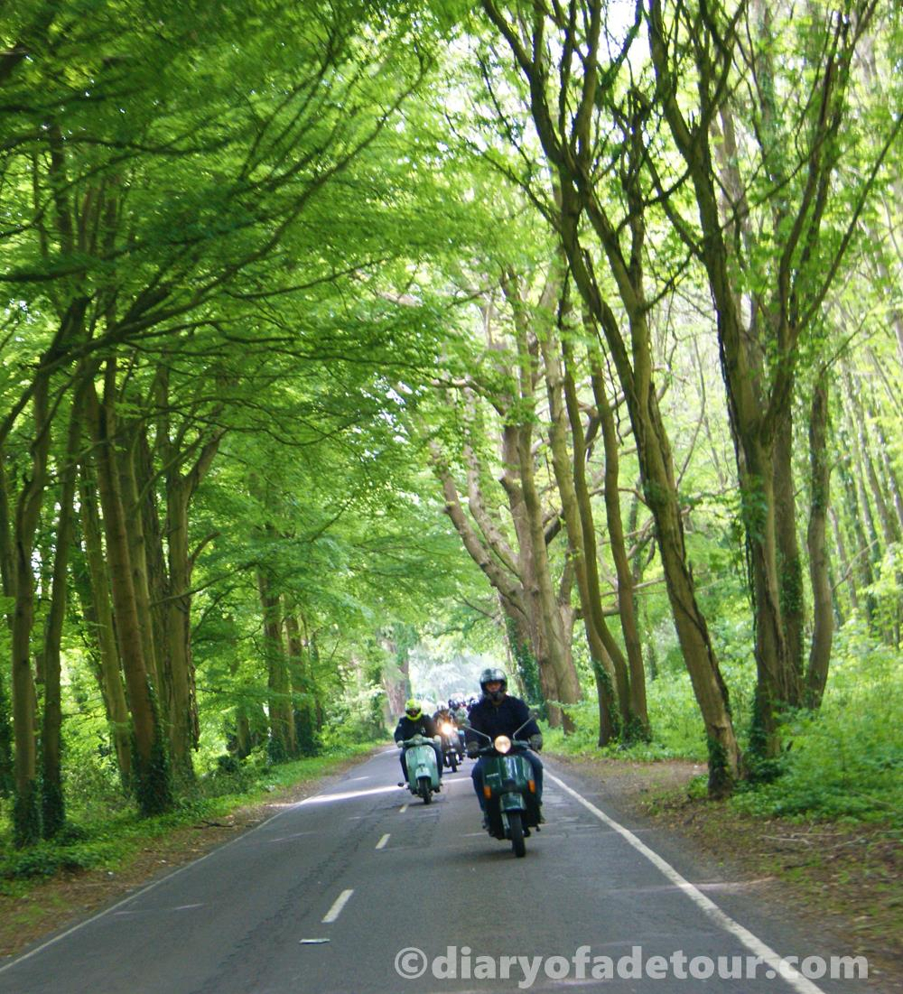 Scooters riding through a tree-lined road near Goodwood in West Sussex.