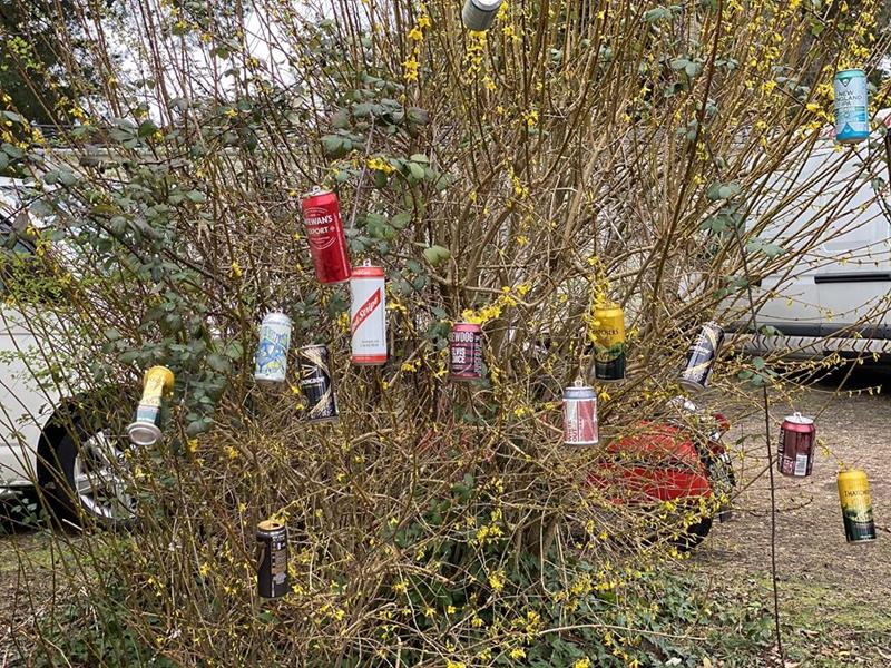 used-cans-hanging-in-a-tree