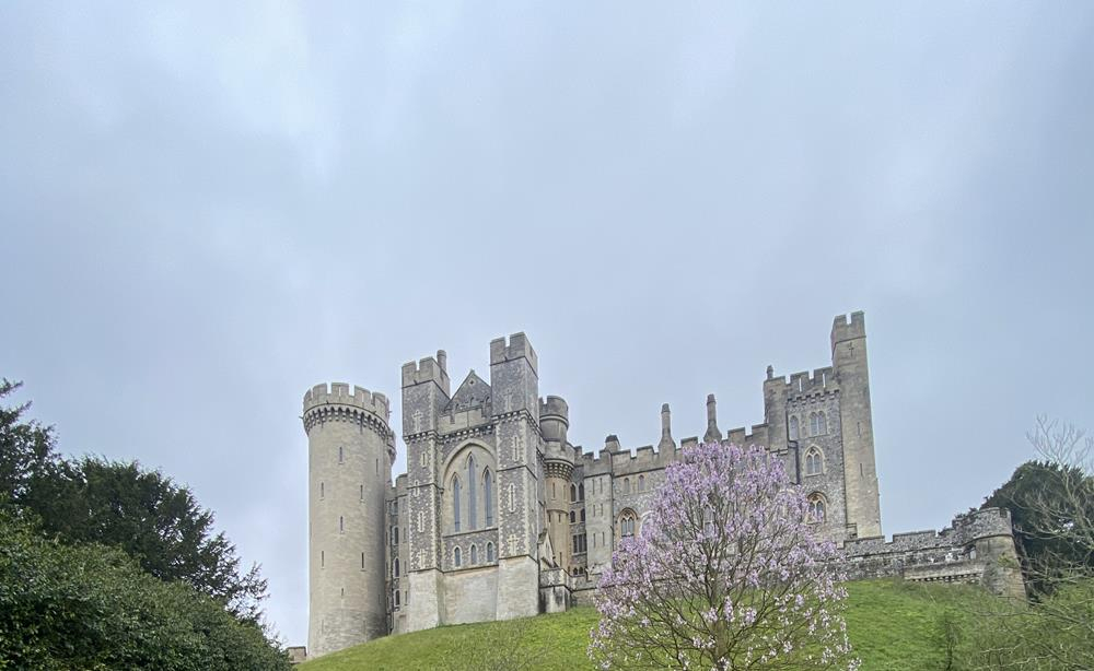 Arundel Castle with a grey sky and flowering tree in the foreground.